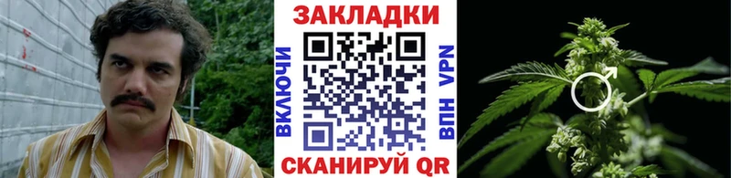 Наркошоп Калачинск COCAIN Alpha-PVP ОМГ ОМГ рабочий сайт Меф Гашиш