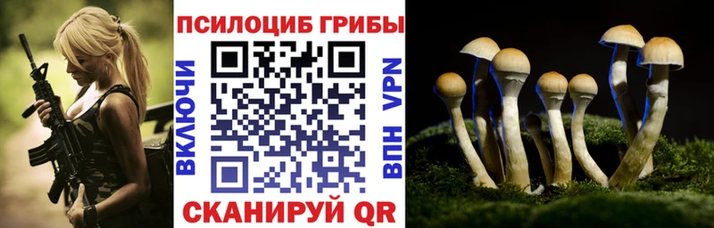 Галлюциногенные грибы Cubensis  купить закладку  Калачинск 